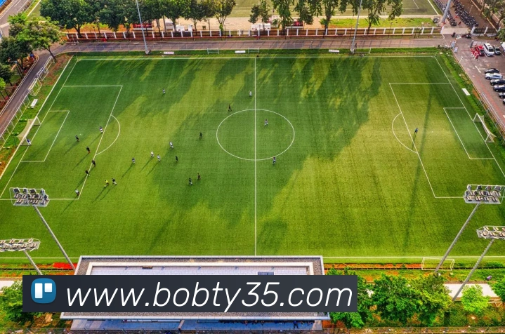 半岛· bob综合体育官方网站发展历程